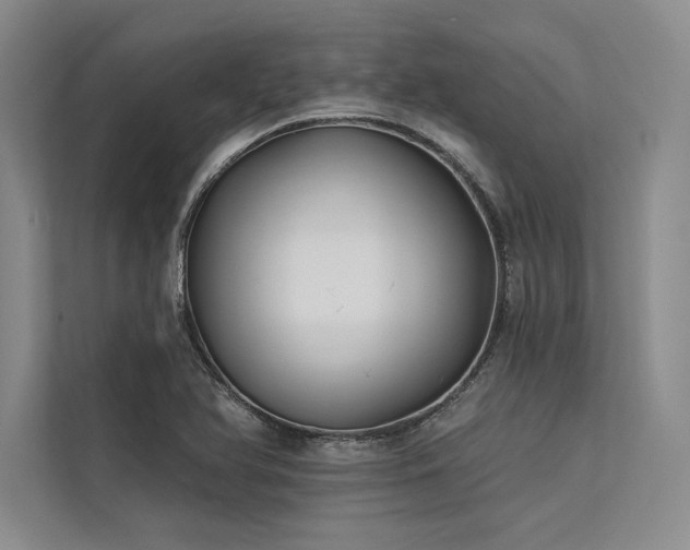 X0000113341366200909221115