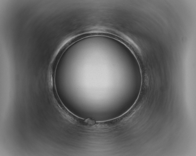 X0000113341368200909221115