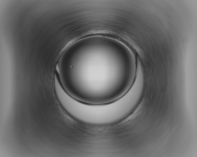 X0000113341369200909221115