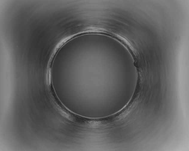 X0000113341371200909221115