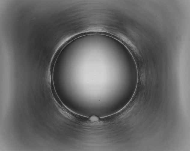 X0000113341372200909221115