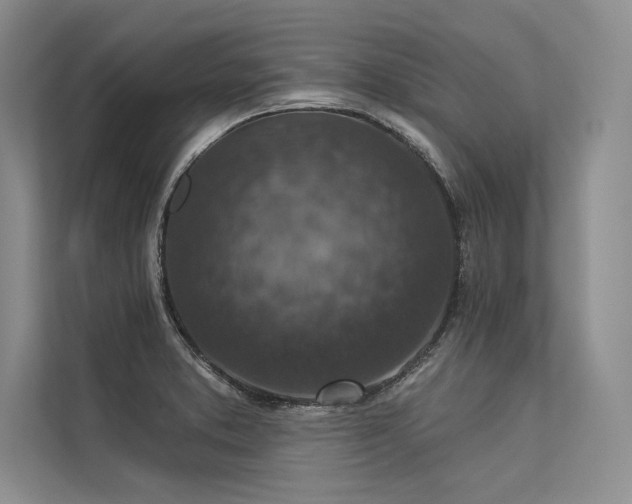 X0000113341373200909221115