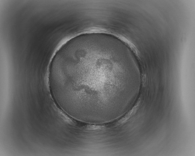 X0000113341374200909221115