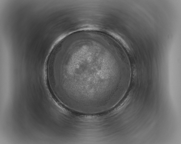 X0000113341375200909221115