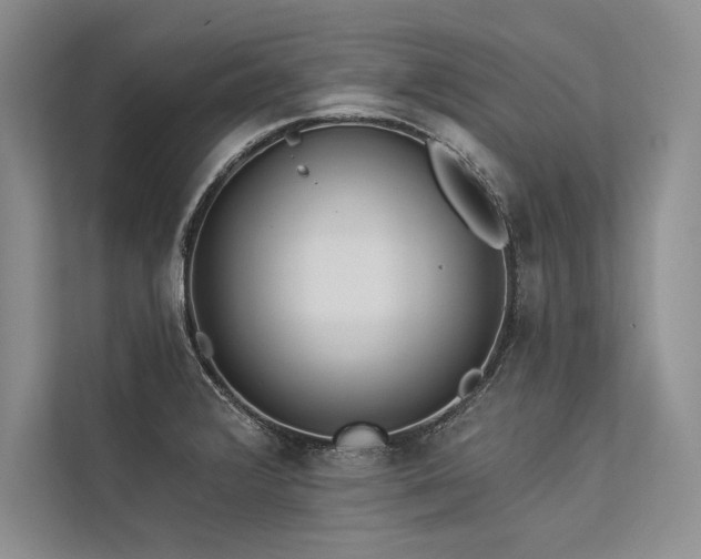 X0000113341376200909221115