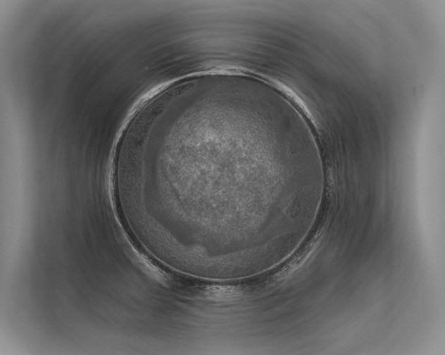 X0000113341379200909221115