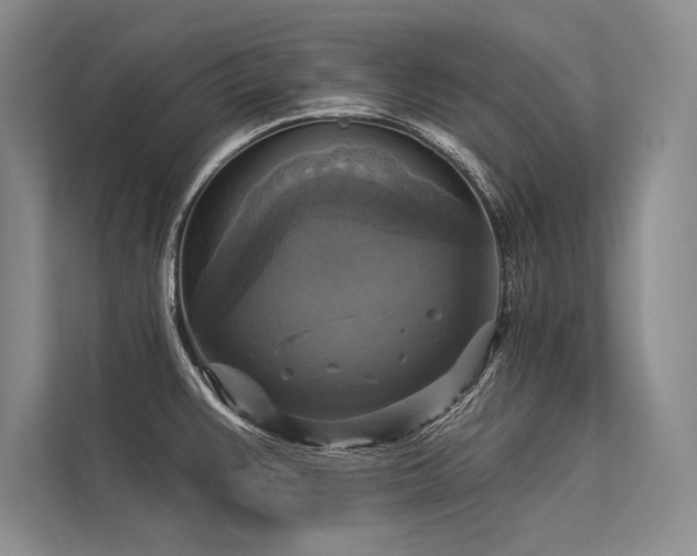 X0000113341383200909221114