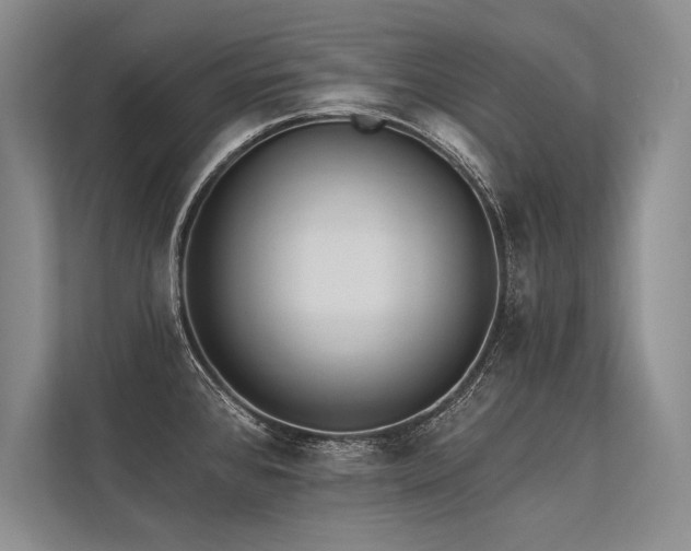 X0000113341384200909221114