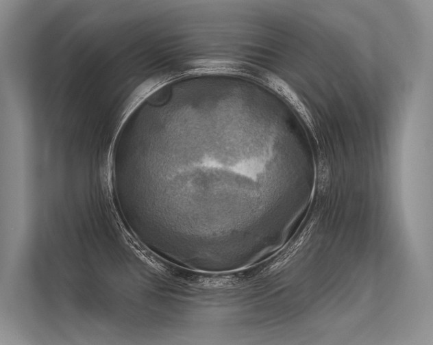 X0000113341386200909221114