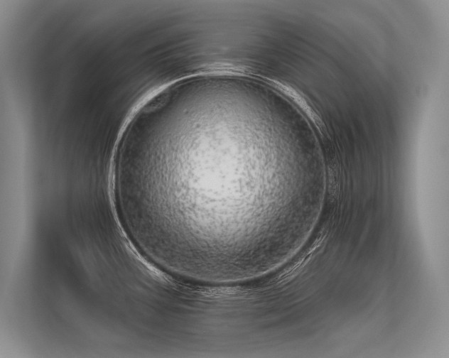 X0000113341387200909221114