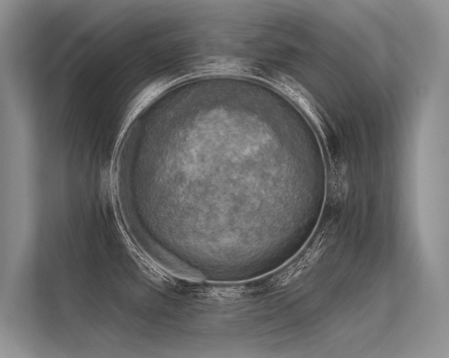 X0000113341389200909221114