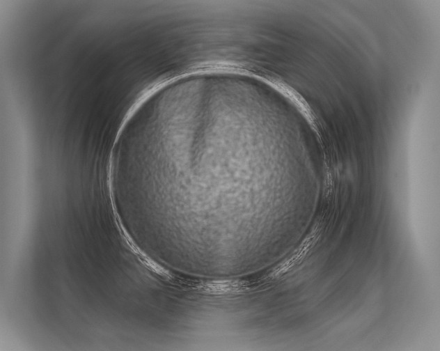 X0000113341390200909221114