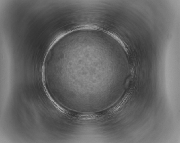 X0000113341391200909221114