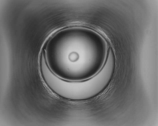 X0000113341392200909221114