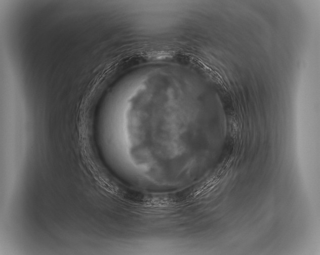 X0000113341393200909221114