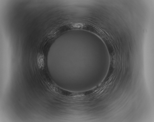 X0000113341394200909221114