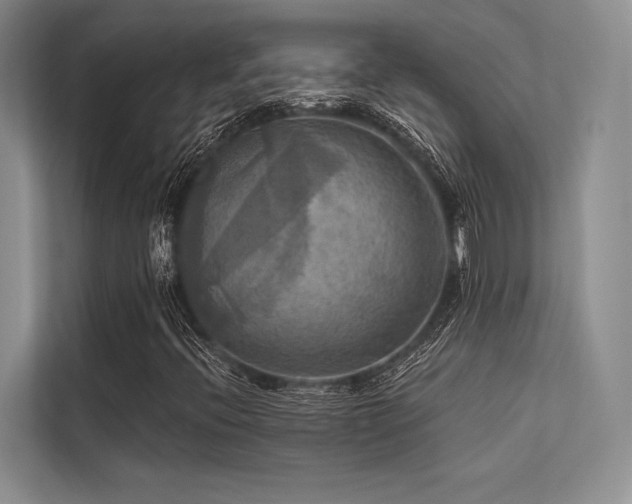 X0000113341396200909221114