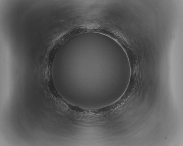 X0000113341398200909221114