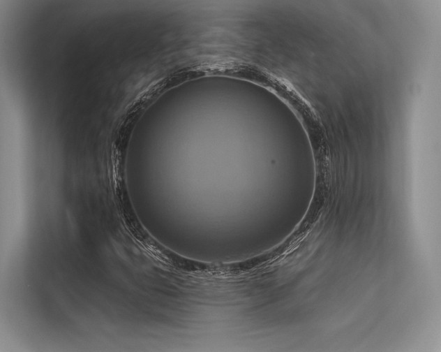 X0000113341399200909221114