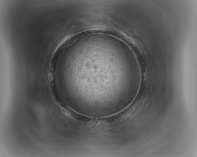 X0000113341400200909221114