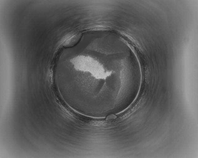 X0000113341402200909221114