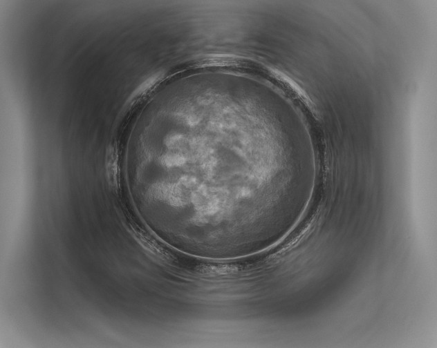 X0000113341403200909221114