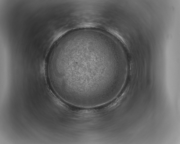 X0000113341404200909221114