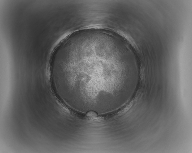 X0000113341406200909221114