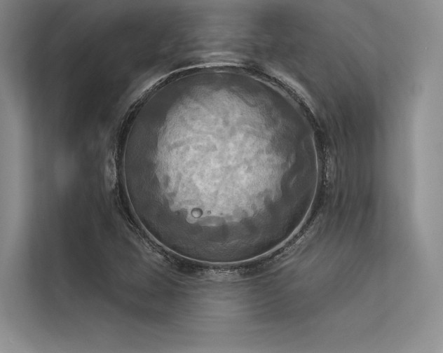 X0000113341407200909221114