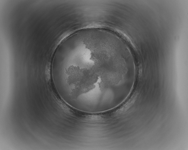 X0000113341409200909221114