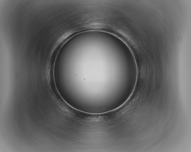 X0000113341410200909221114