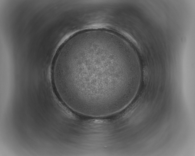 X0000113341412200909221114