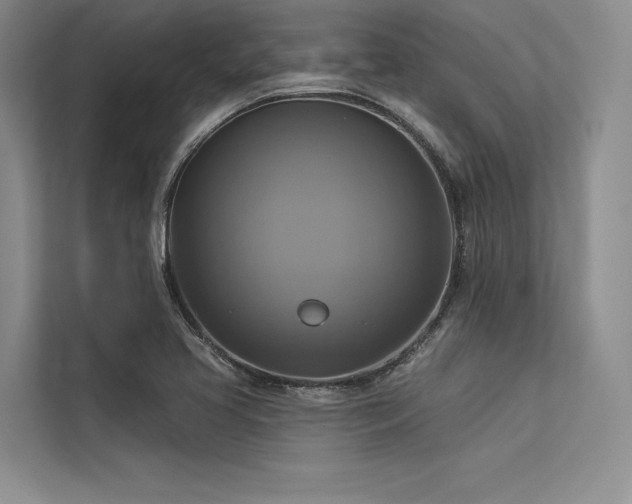 X0000113341413200909221114