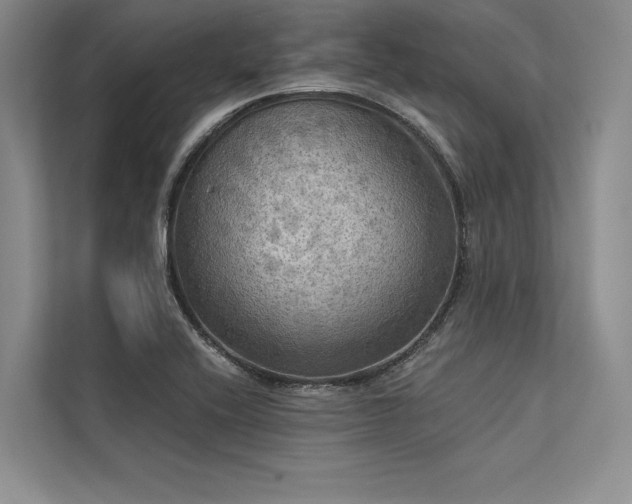 X0000113341416200909221114