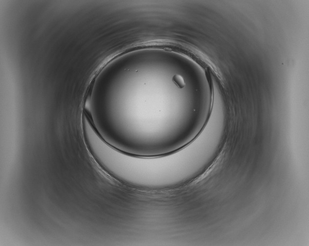 X0000113341417200909221114