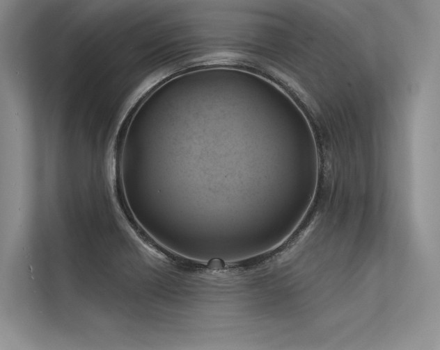 X0000113341418200909221114