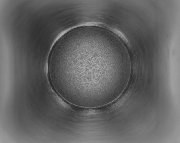 X0000113341420200909221114