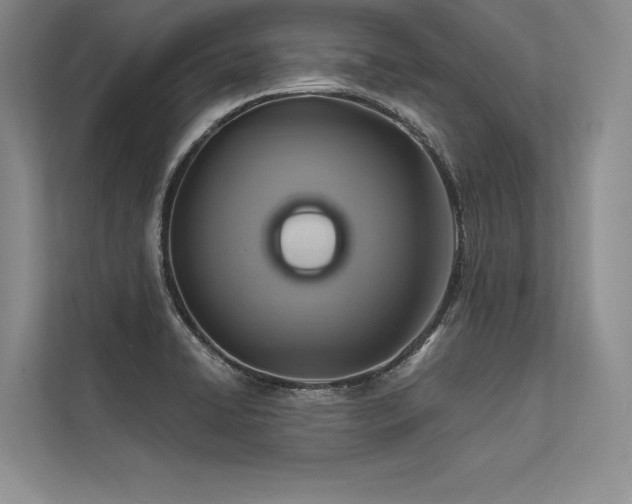 X0000113341422200909221114