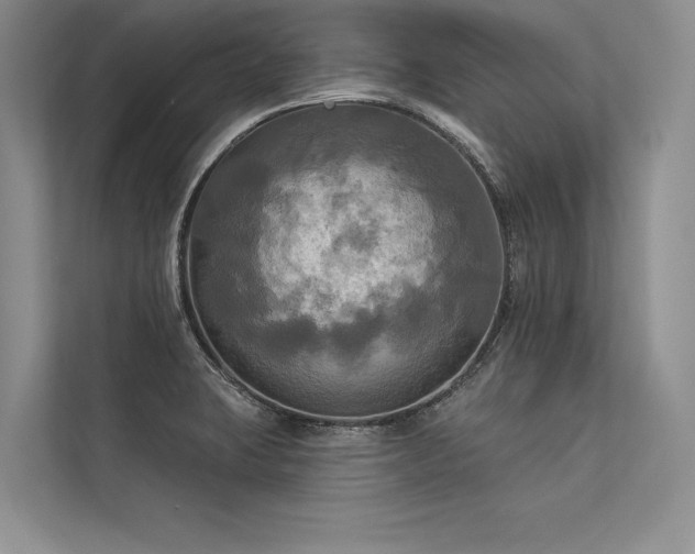 X0000113341423200909221114