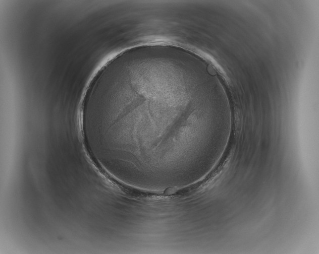 X0000113341424200909221114