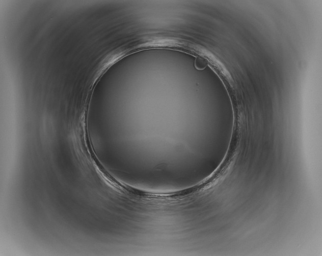 X0000113341425200909221114