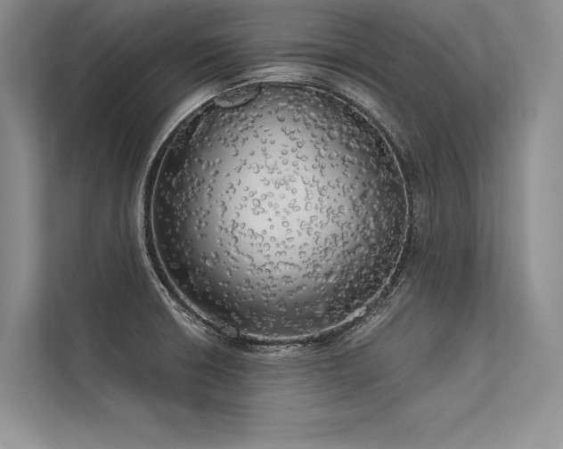 X0000113341426200909221114