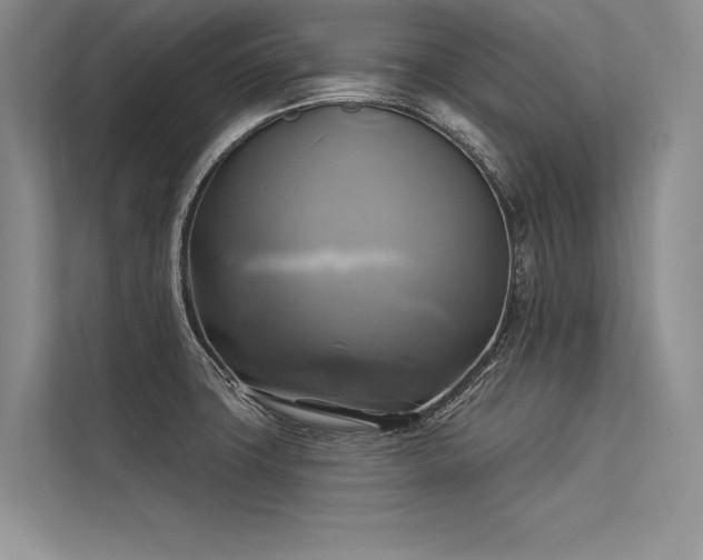 X0000113341427200909221114