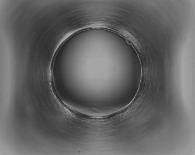 X0000113341428200909221114