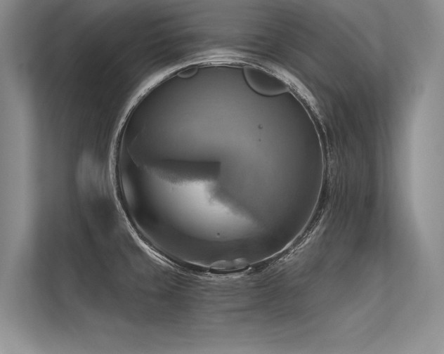 X0000113341429200909221114