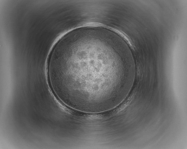 X0000113341430200909221114