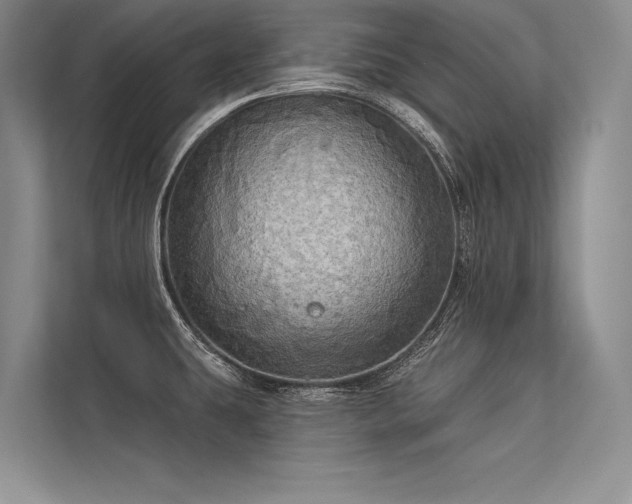 X0000113341431200909221114