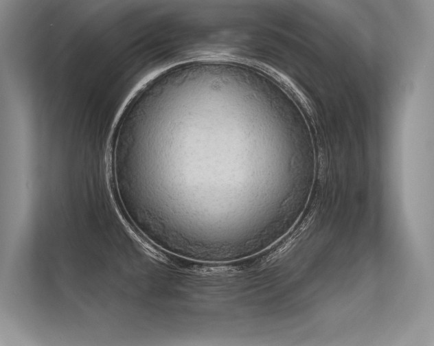 X0000113341432200909221114