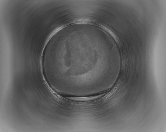 X0000113341434200909221114