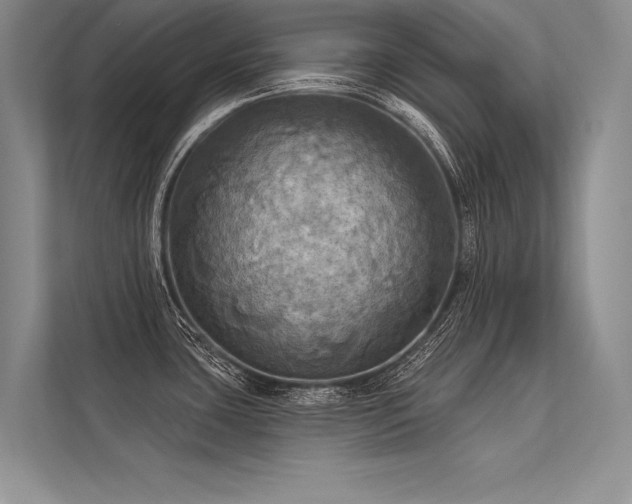 X0000113341435200909221114